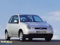 Lupo lupo