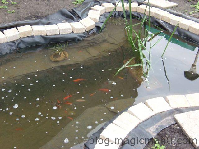 Blog de magicmanu :Aménagement de notre maison, Bassin de jardin - plantations
