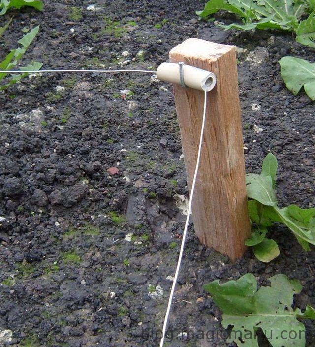 Blog de magicmanu : Aménagement de notre maison, Sauvons les poissons !